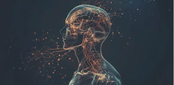 Formación Kinesiología Unificada Online A Tu Ritmo